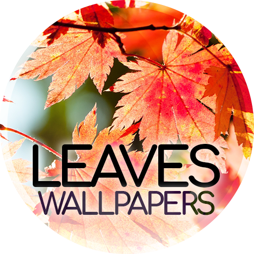 Kertas dinding dengan daun