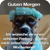 Lustige Guten Morgen Bilder
