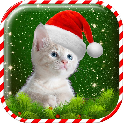 Christmas Cat Wallpaper