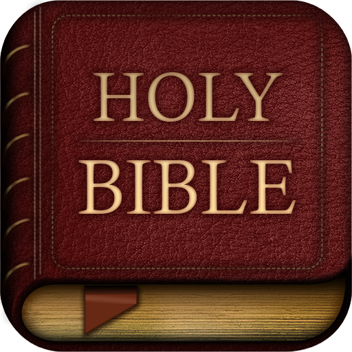 The Message Bible