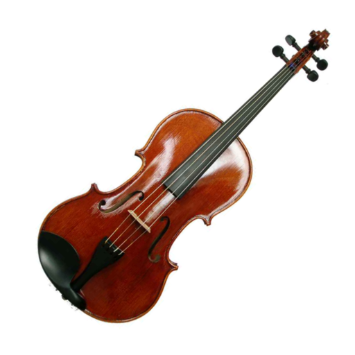 Viola