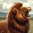 Lion King Games 3D: Lion game