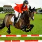 Horse Show Jumping Champions 2