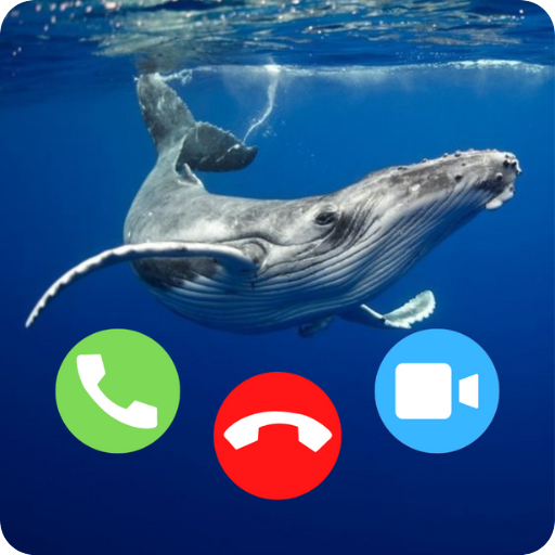 Humpback Whale Simulator Call