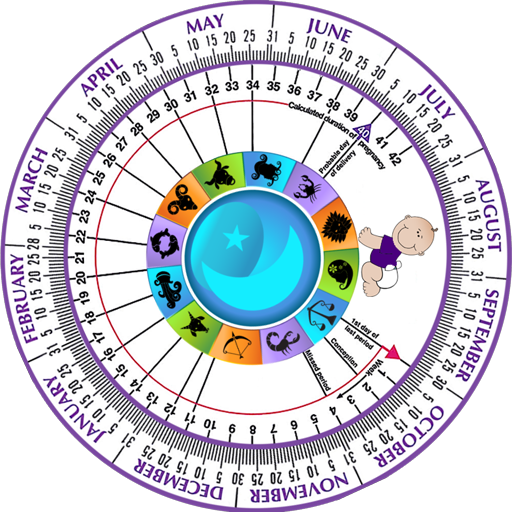 Pregnancy Wheel