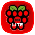 Raspberry SSH & WOL Buttons