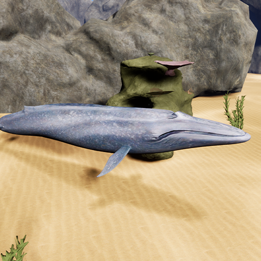 Happy Blue Whale Simulator