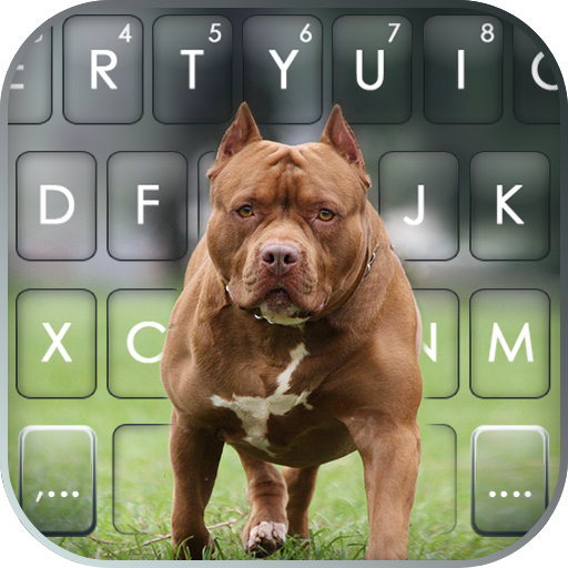 Cool Pitbull Keyboard Backgrou