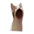 Pop Cat Clicker - World Person