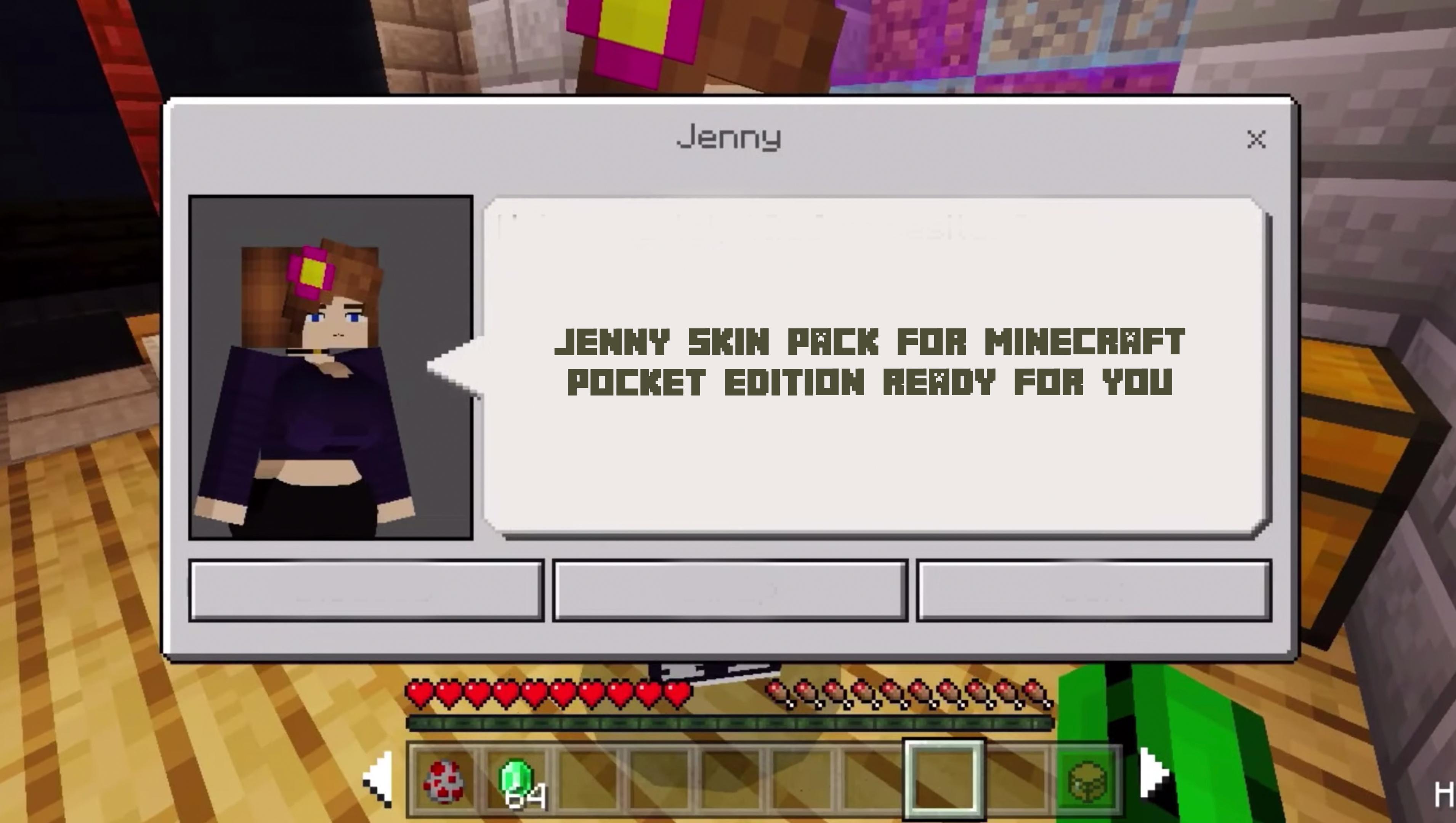 Download Jenny skin pack mcpe android on PC