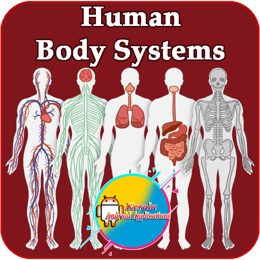 Human Body Systems