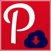 Pin Downloader