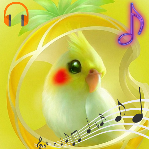 Parrot Sounds and Ringtones
