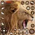 Afrika Aslanı Simülatörü