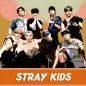 Stray Kids - All Music Offline