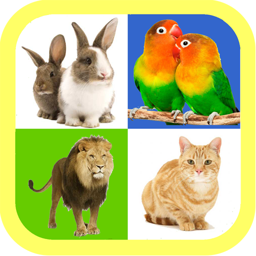Real animal sound for kids