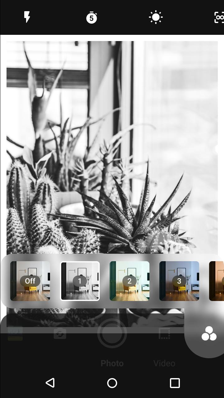 gallery