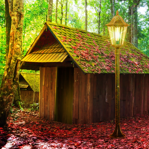 Casa da Floresta Misteriosa