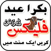 Bakra Eid Flex Maker