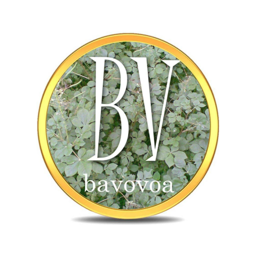 Bavovoa