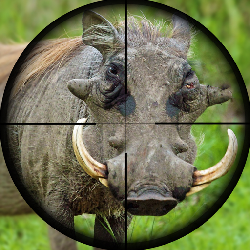 जंगली शिकार सुअर स्निपर शूटिंग