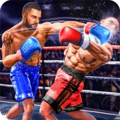 Atire real Boxing Tournament