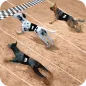 असली कुत्ते रेसिंग खेल रेसिंग 
