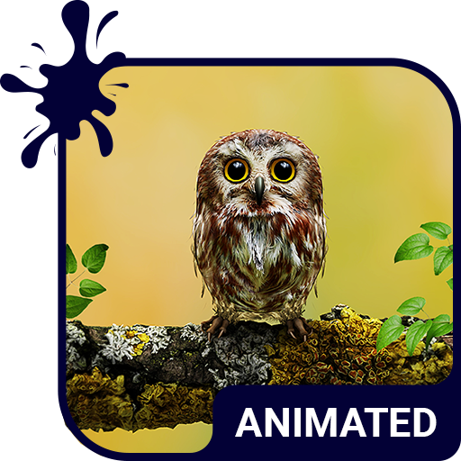 Baby Owl Live Wallpaper Theme