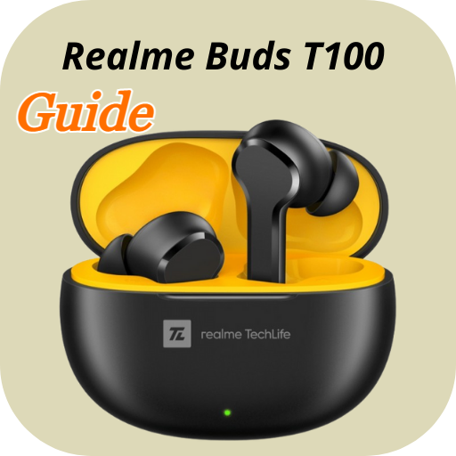 Realme Buds T100 guide