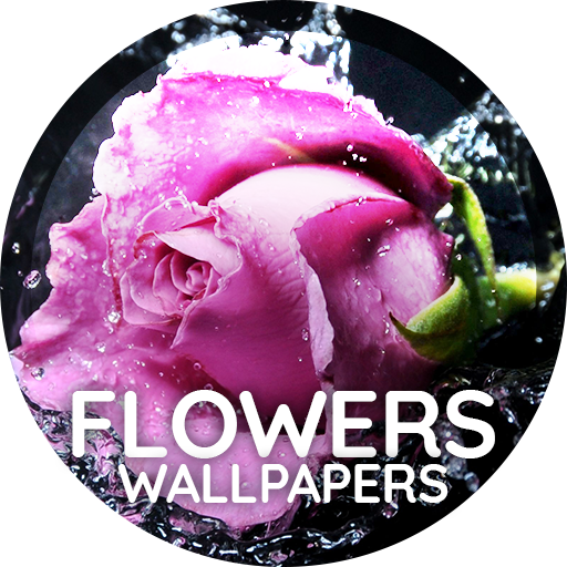 Çiçekler duvar kağıtları