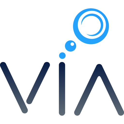 VIA - Auto Inspections