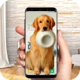 Feed golden dog in phone simulation