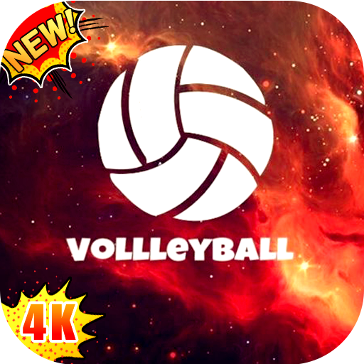 4K Volleyball Wallpaper - iXpap