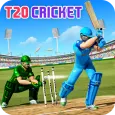 Cricket Championship Game 2023