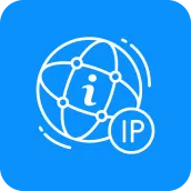 My IP, Networking Tools, Ping