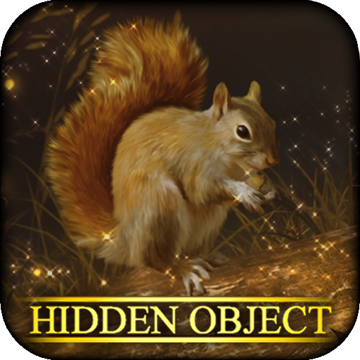 Hidden Object: Forest Friends Adventure