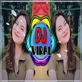 DJ Stecu Stecu Cuek Slow Viral