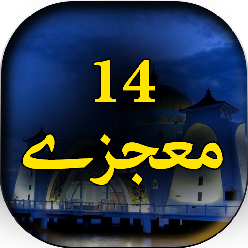 14 Mojzay - Urdu Book Offline