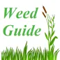 Weed Guide - Определитель сорн