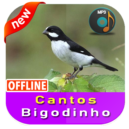 Cantos Bigodinho