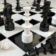 國際象棋 3d 學習如何下棋