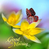 Good Morning Images APPS
