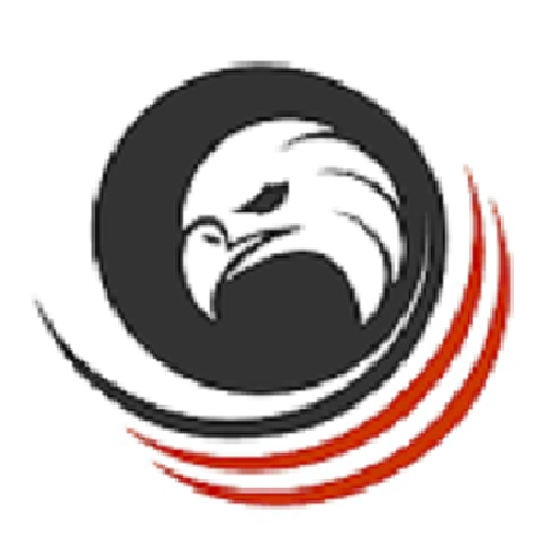 Shaheen Forces Academy