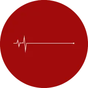 Pulse Bet App