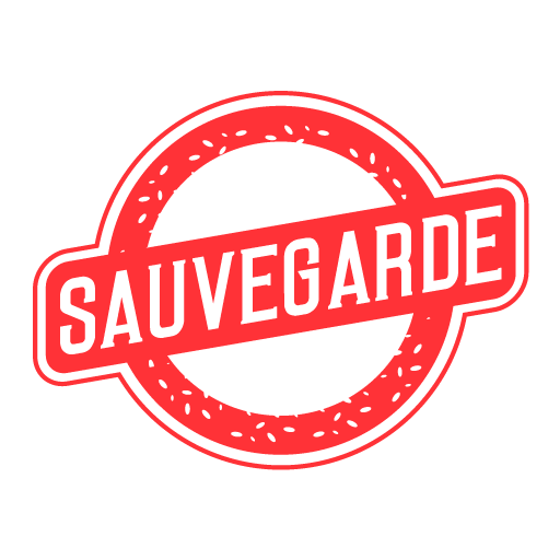 Sauvegarde