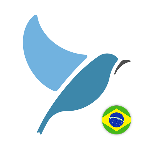 Learn Brazilian Portuguese. Sp