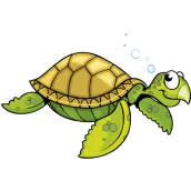 Turtle Game