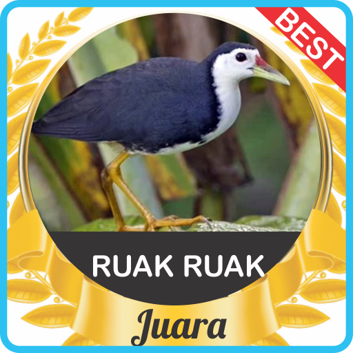 Suara Ruak Ruak Pikat mp3 Asli