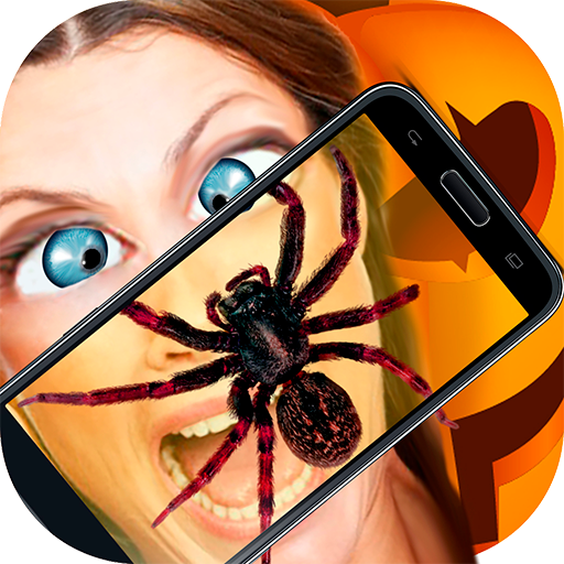 Spider Real 3D Camera Prank