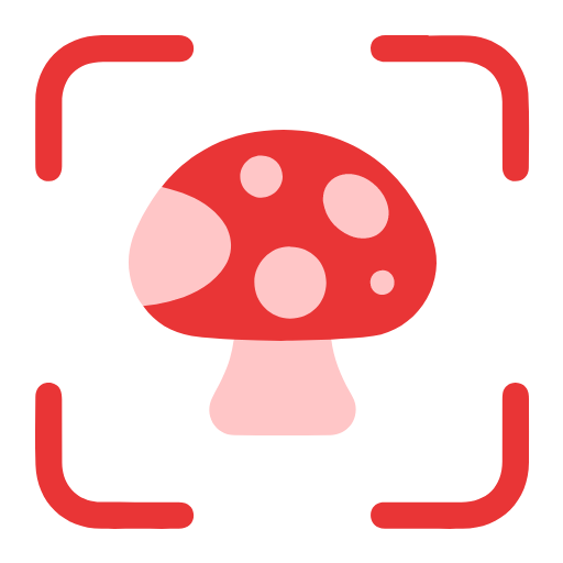 Mushroom Identifier